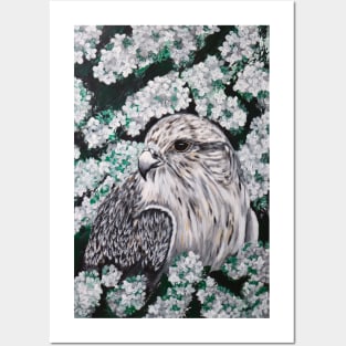 Gyrfalcon in white lilac Posters and Art